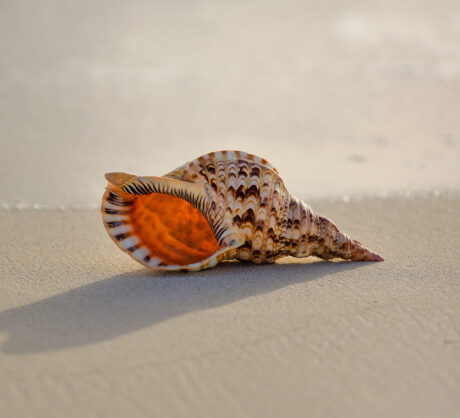 Luisteren als meditatie: met al je aandacht