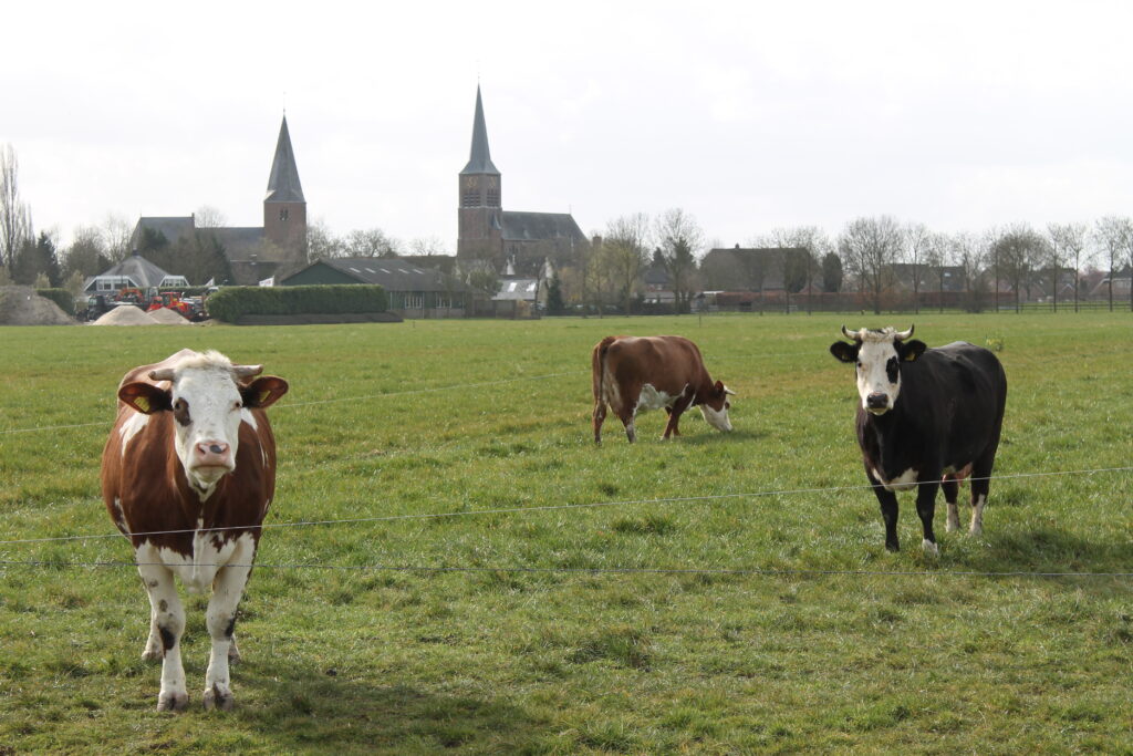 yoga en schrijfretreat in horssen